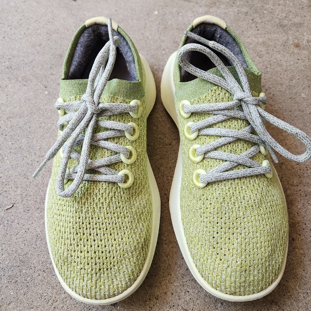 Allbirds TD Tree Dasher Shoes
